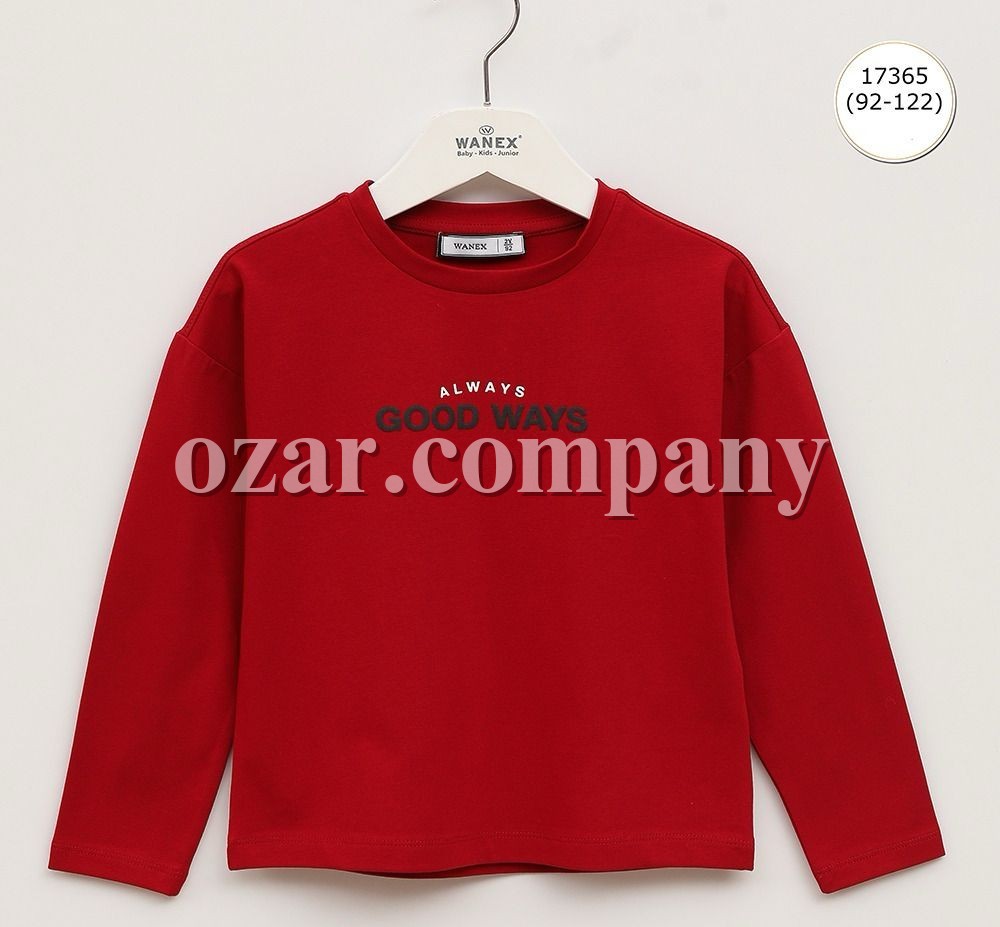 Свитшот Для Мальчика Wanex (2-3-4-5-6-7лет) 