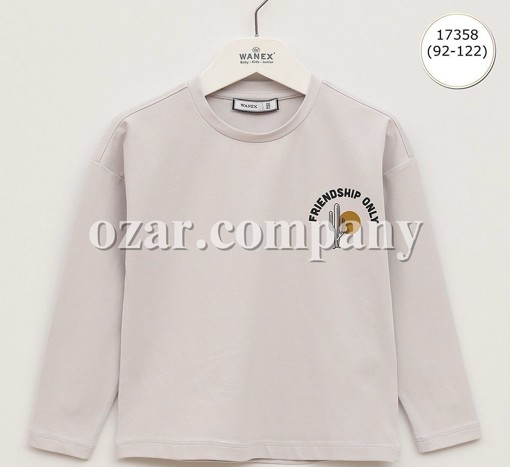 Свитшот Для Мальчика Wanex (2-3-4-5-6-7лет) 