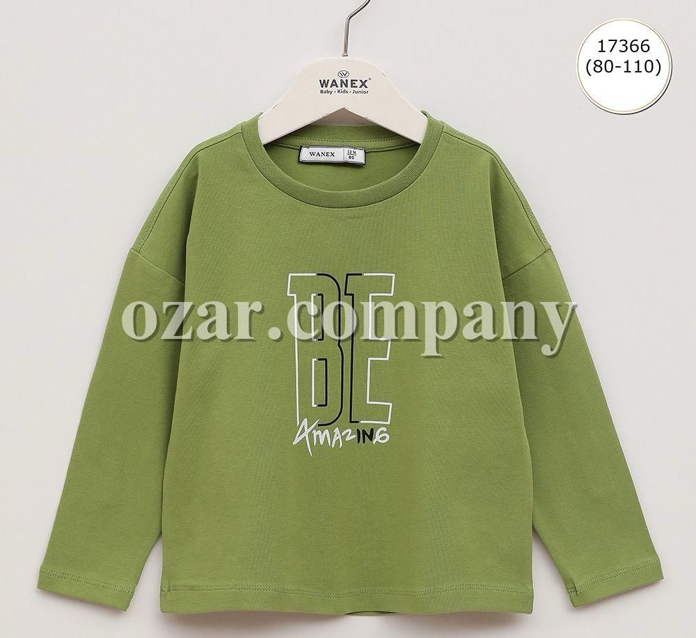 Свитшот Для Мальчика Wanex (1-1.5-2-3-4-5лет) 