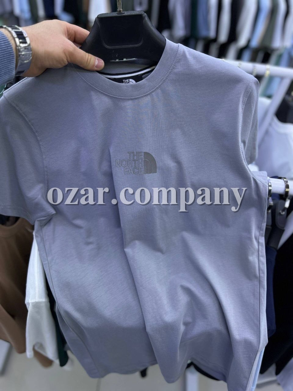 Мужская Футболка The North Face