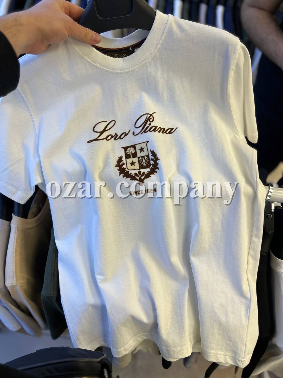 Мужская Футболка Loro Piana