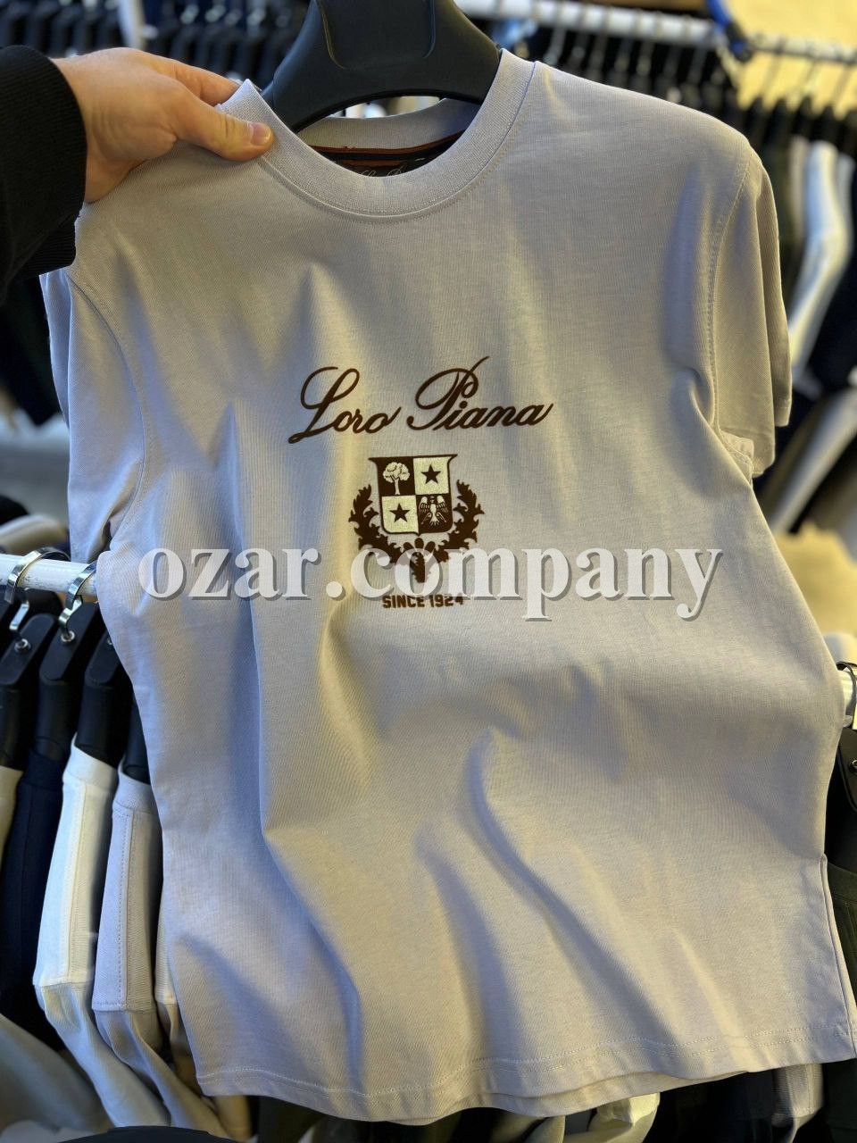 Мужская Футболка Loro Piana