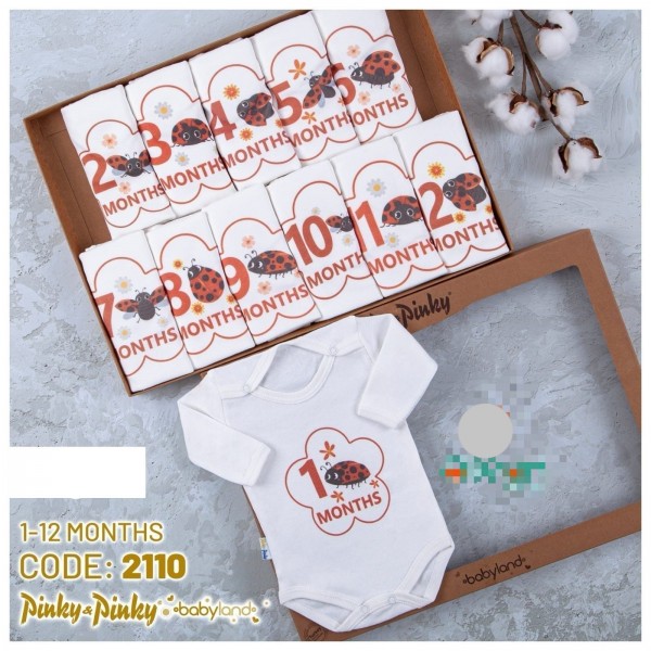 Коробочный Набор Для Новорождённых Pinky Pinky (1-12м)