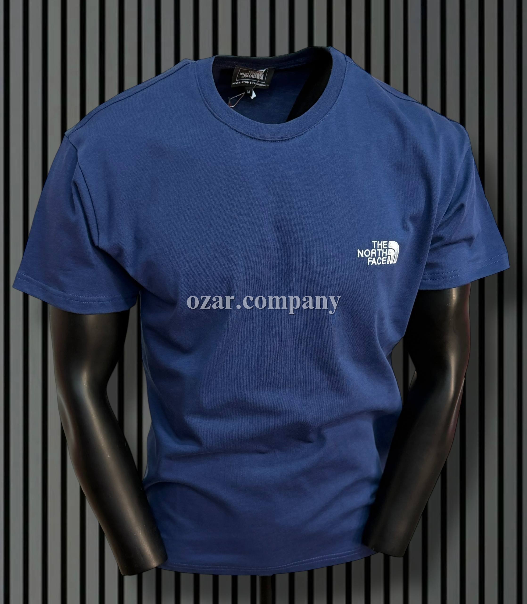 Мужская Футболка The North Face