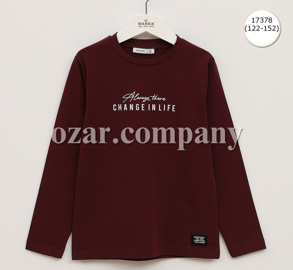 Свитшот Для Мальчика Wanex (7-8-9-10-11-12лет) 