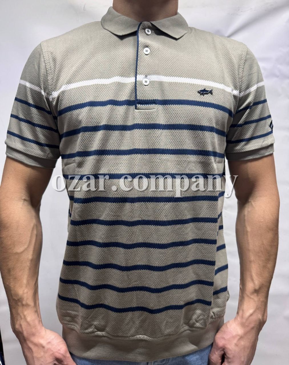 Мужская Футболка Paul&Shark 