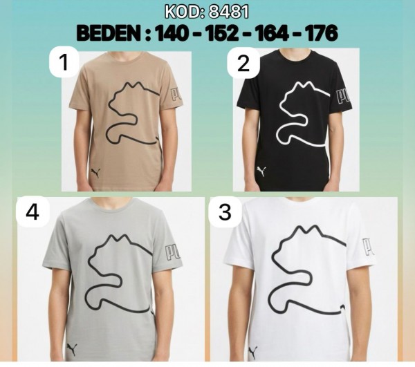 Футболка Для Мальчика (10-12-14-16лет)