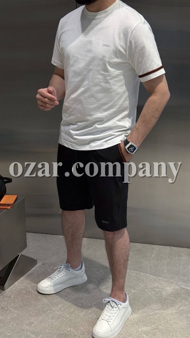 Мужской Комплект Zegna