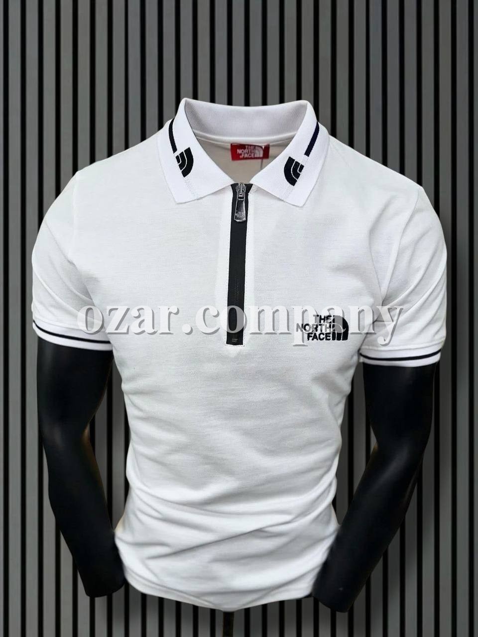 Мужская Футболка The North Face