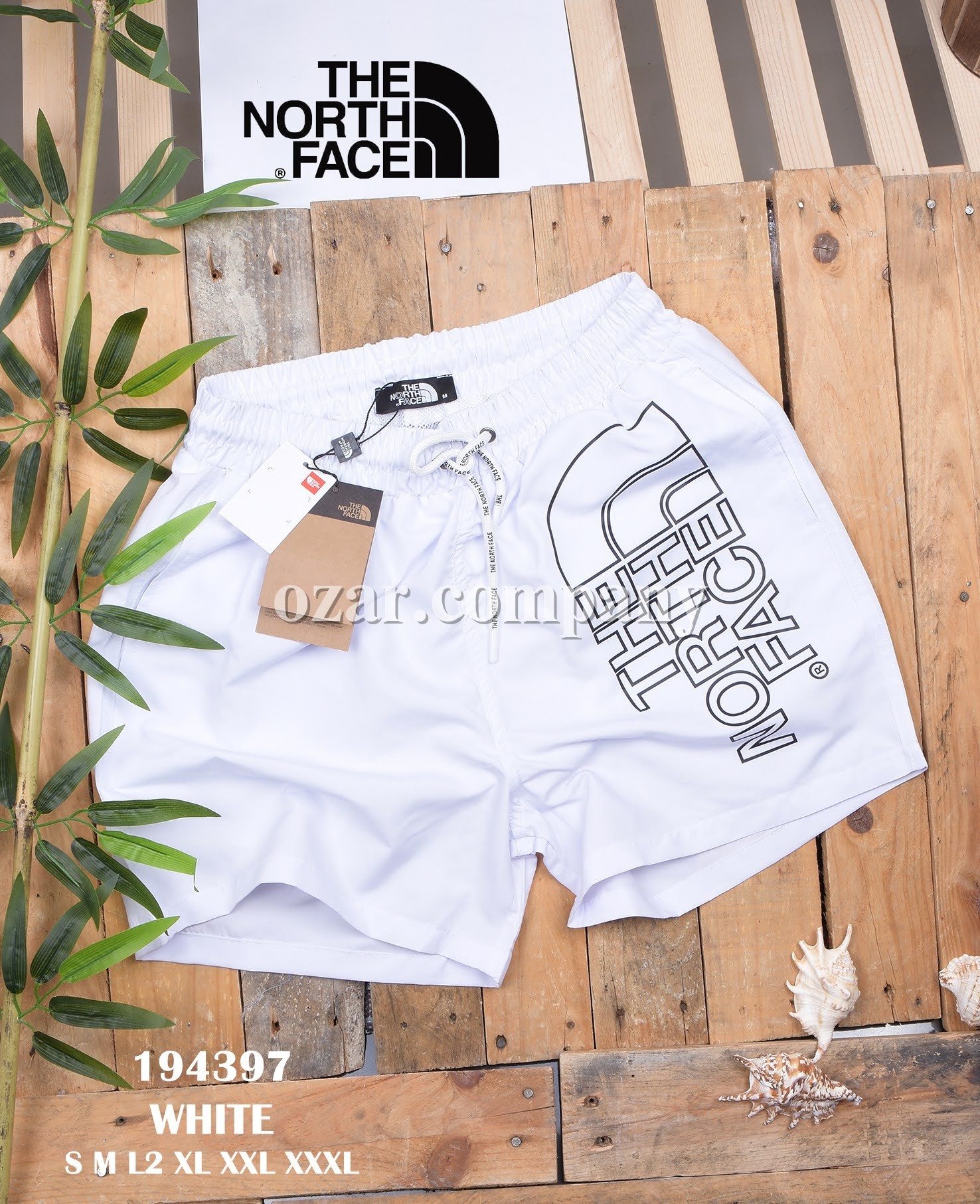 Мужские Пляжные Шорты The North Face