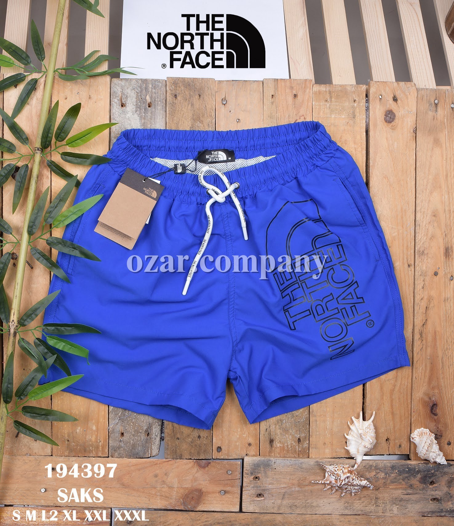 Мужские Пляжные Шорты The North Face