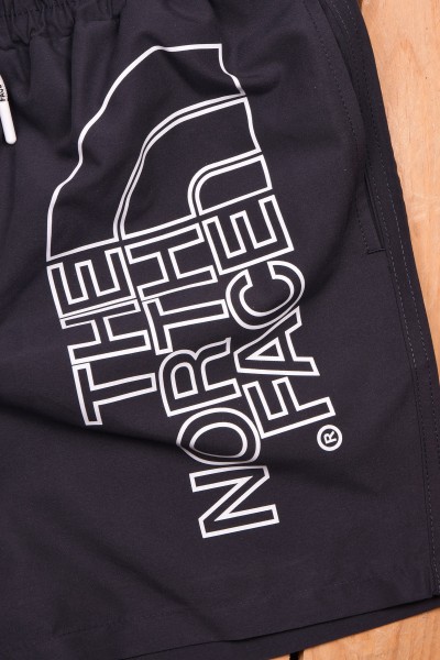 Мужские Пляжные Шорты The North Face