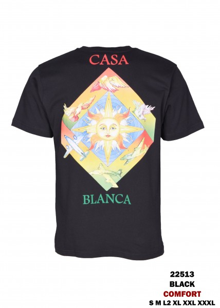 Мужская Футболка Casablanka