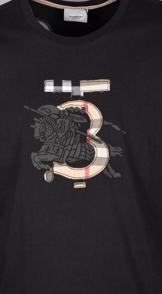 Мужская Футболка Burberry