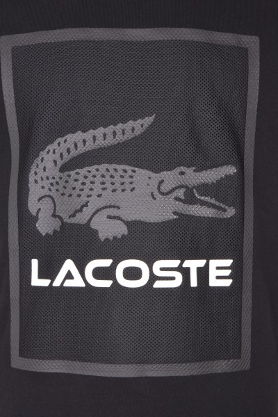 Мужская Футболка Lacoste