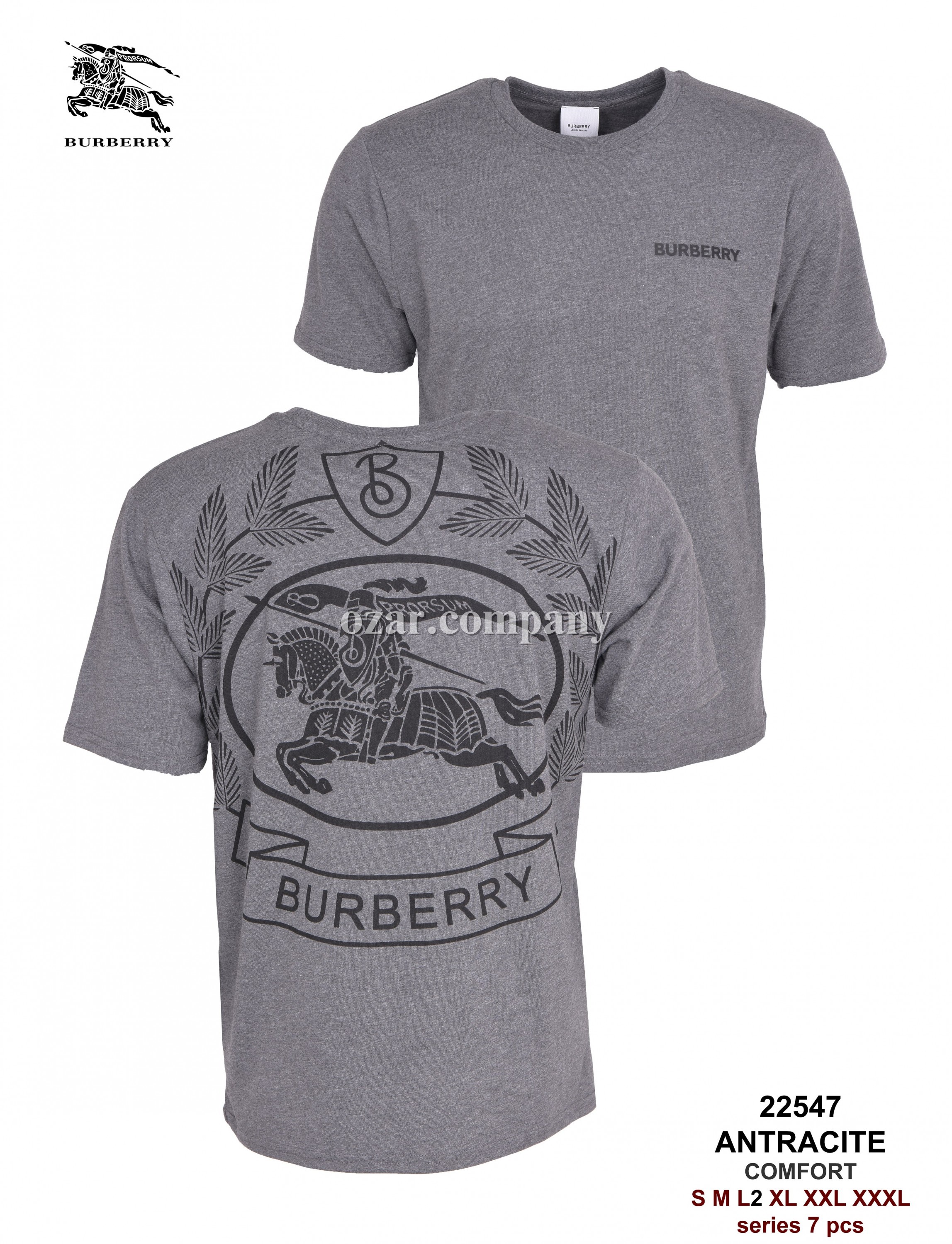 Мужская Футболка Burberry