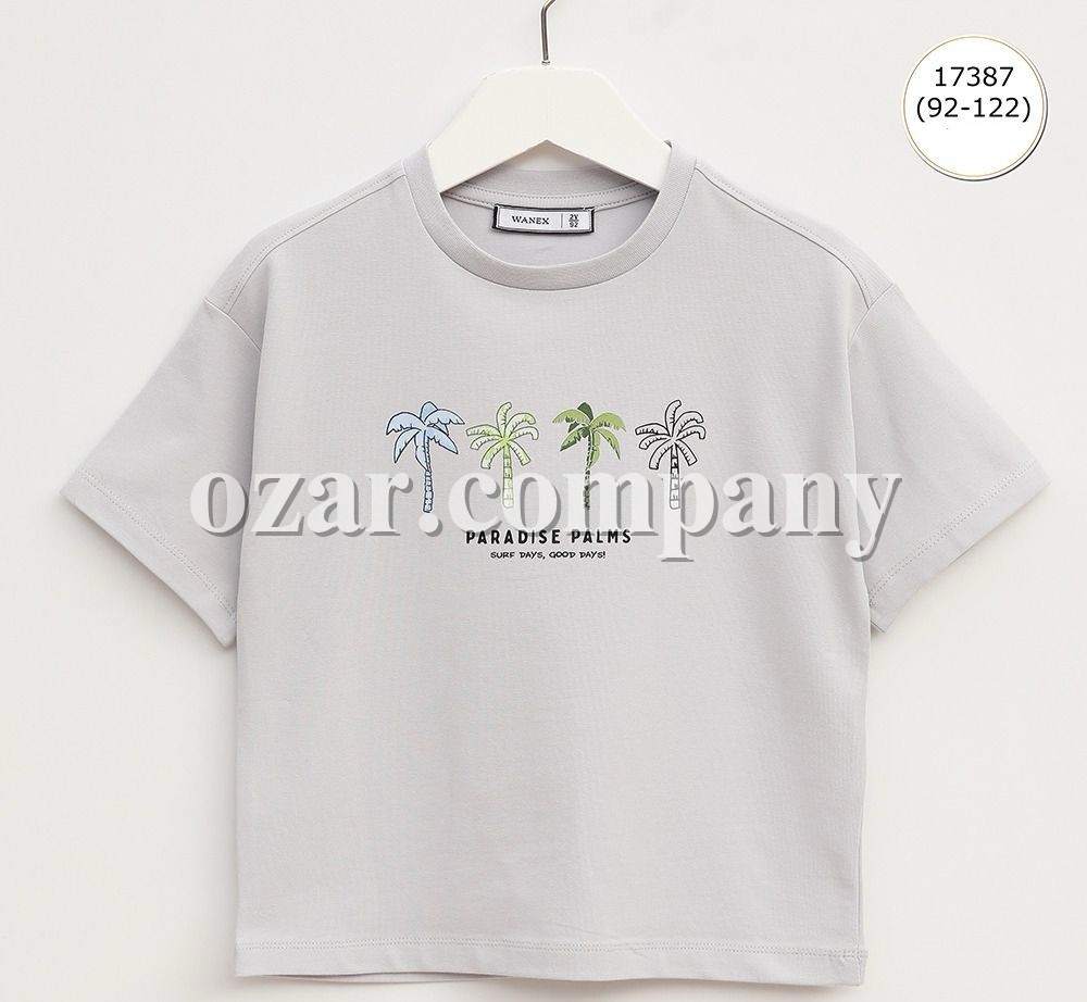 Футболка Для Мальчика Wanex (2-3-4-5-6-7лет) 