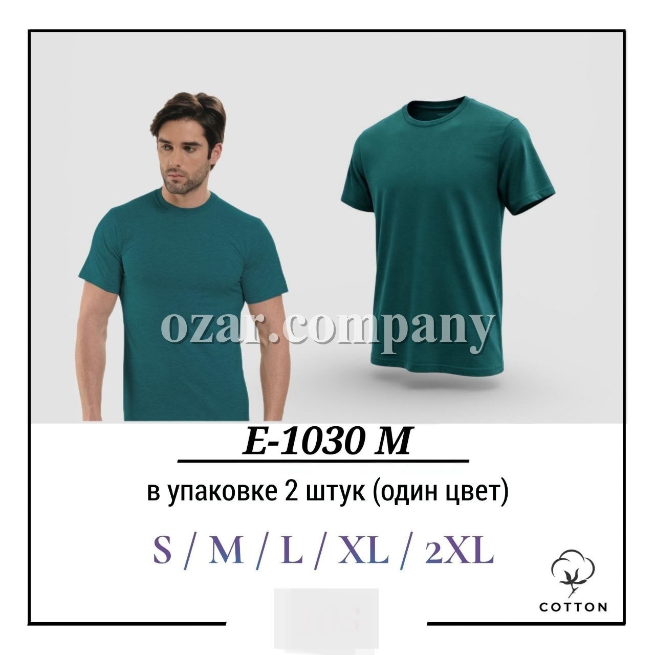 Футболка Мужская Котон Pier Lone (S/M/L/XL/2XL)