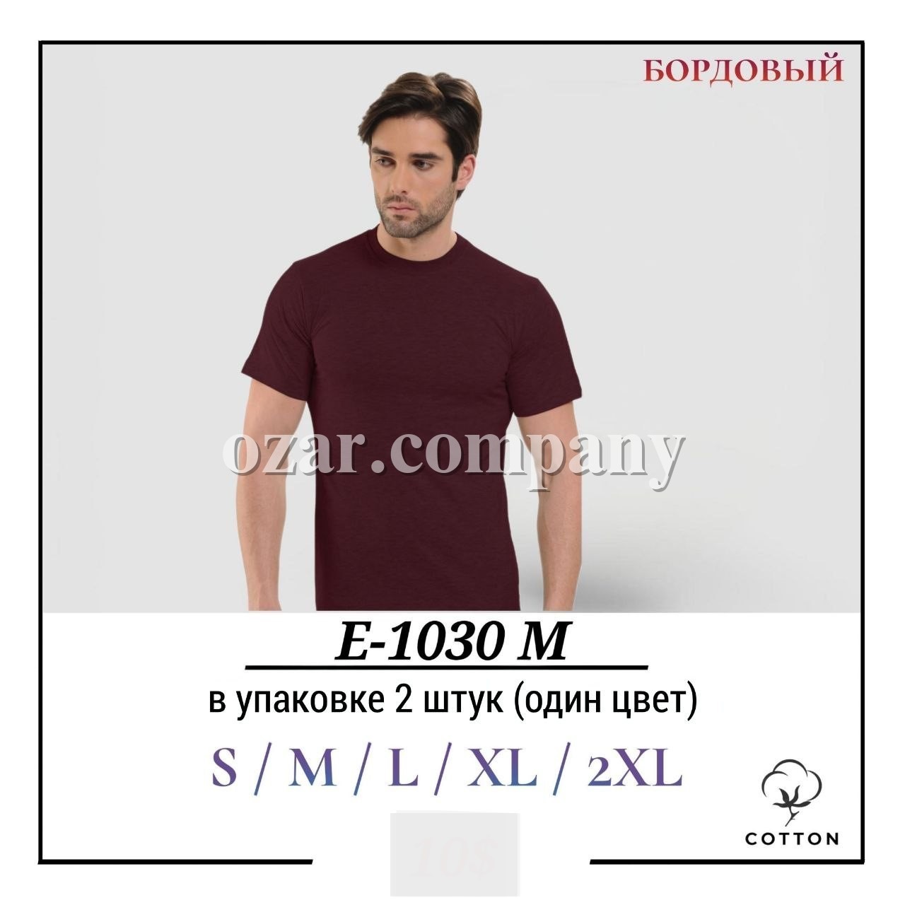 Футболка Мужская Котон Pier Lone (S/M/L/XL/2XL)