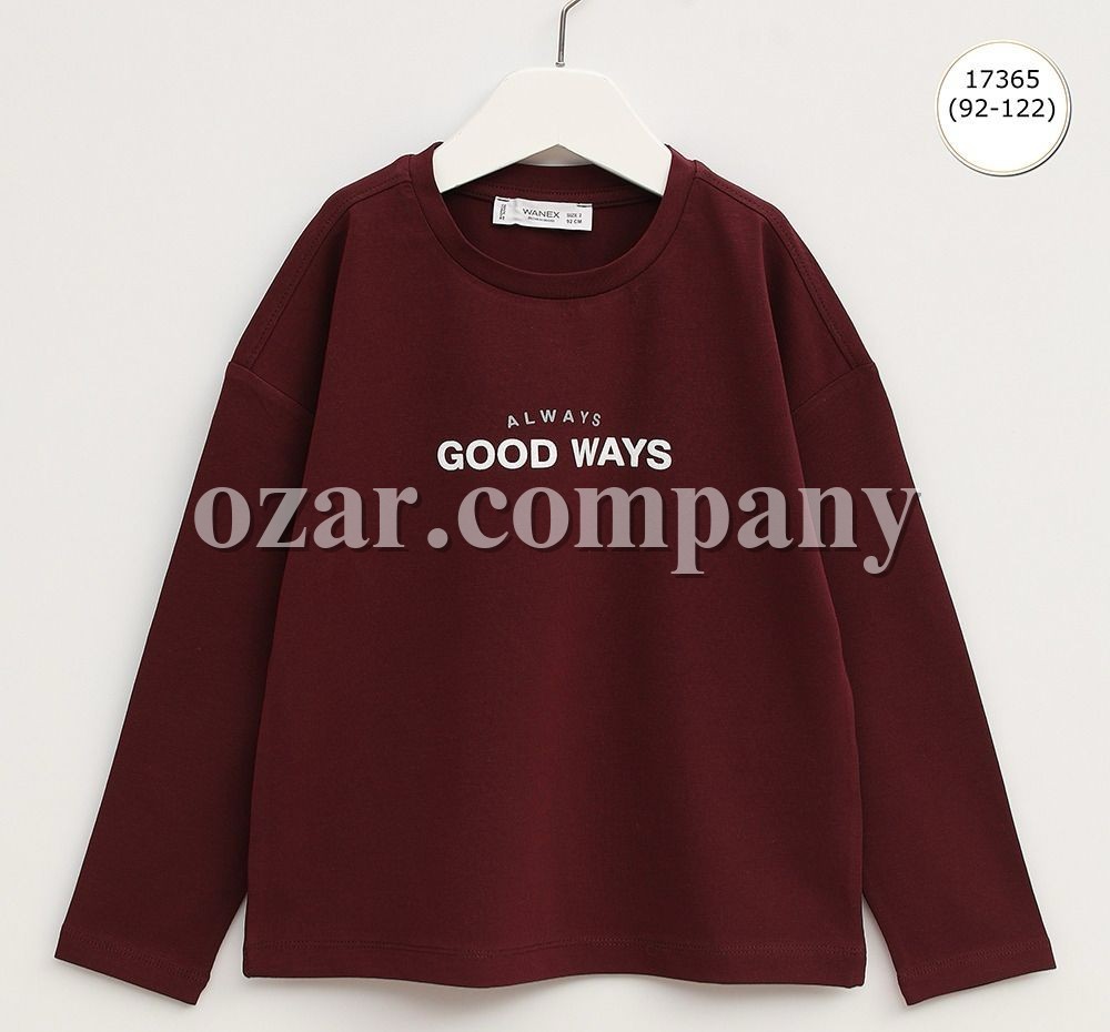 Свитшот Для Мальчика Wanex (2-3-4-5-6-7лет) 