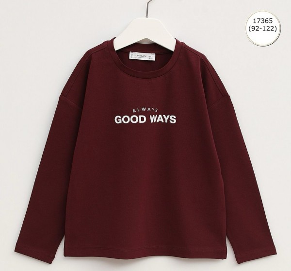 Свитшот Для Мальчика Wanex (2-3-4-5-6-7лет) 