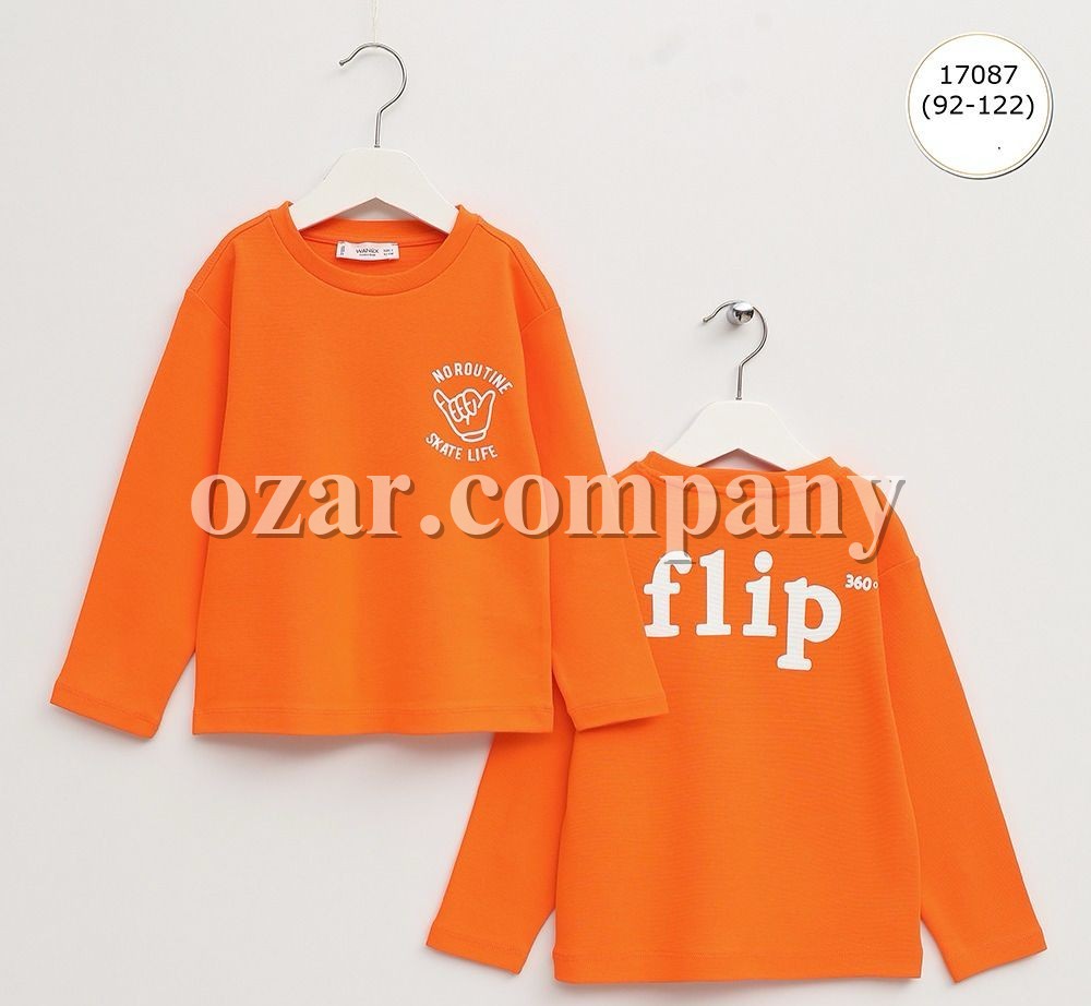 Свитшот Для Мальчика Wanex (2-3-4-5-6-7лет) 