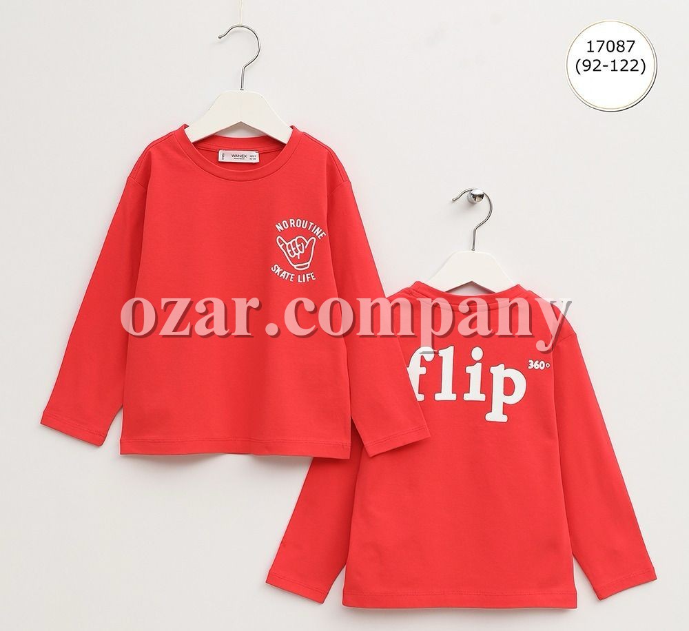 Свитшот Для Мальчика Wanex (2-3-4-5-6-7лет) 