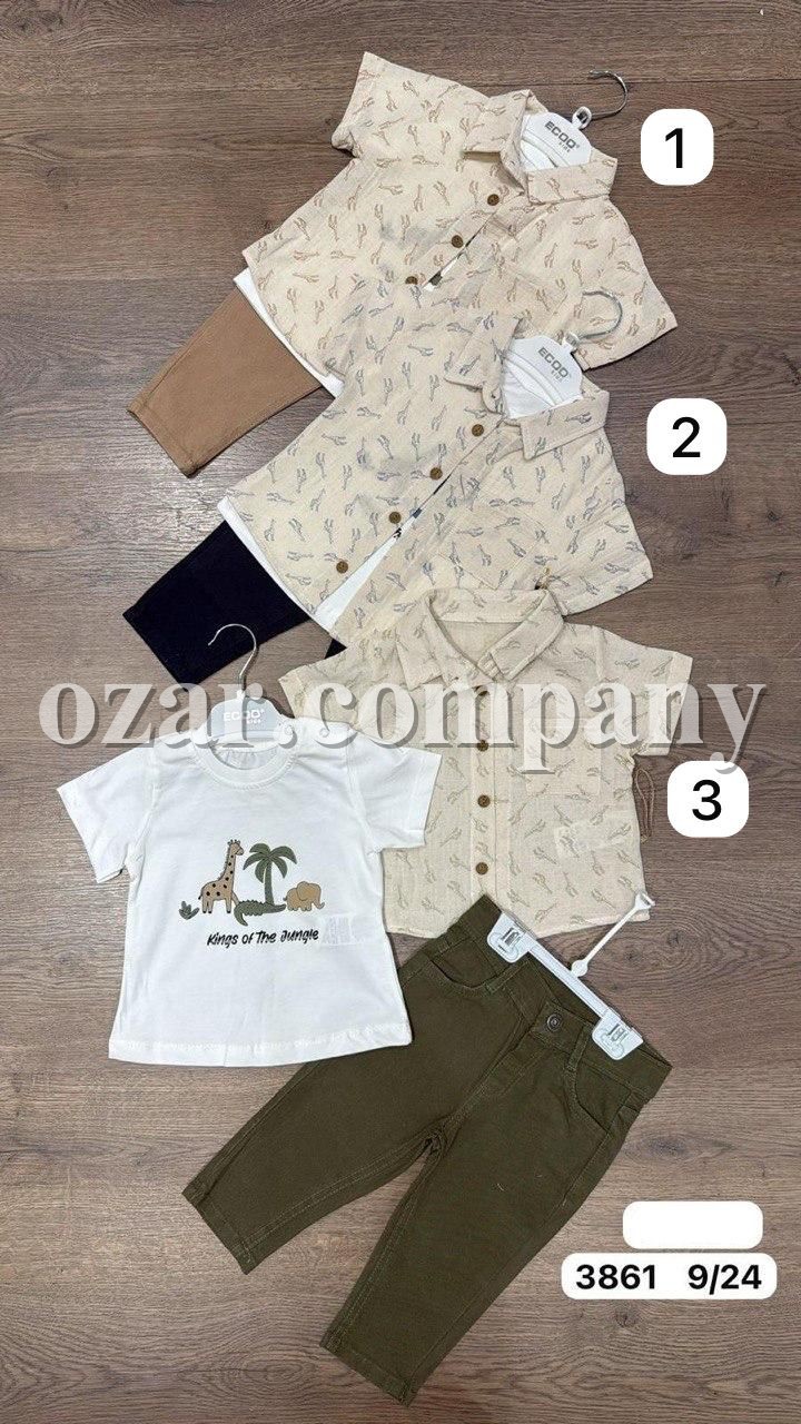 Костюм Тройка Для Мальчика Ecoo (9-12-18-24мес.)