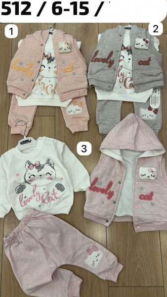 Костюм Тройка Для Девочки Babyhi (6-9-12-18мес.)