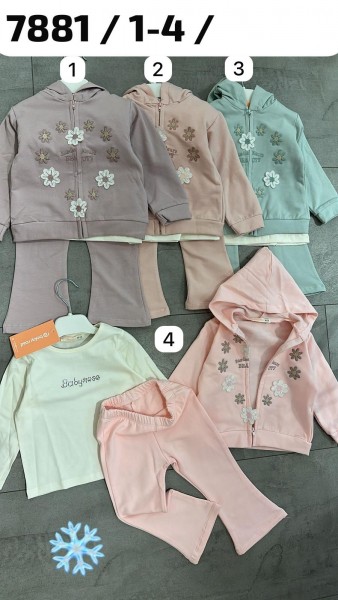 Костюм Тройка На Флисе Для Девочки Baby Rose (1-2-3-4лет) 