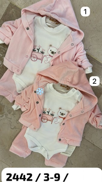 Комплект Для Девочки Baby Im (3-6-9мес.)